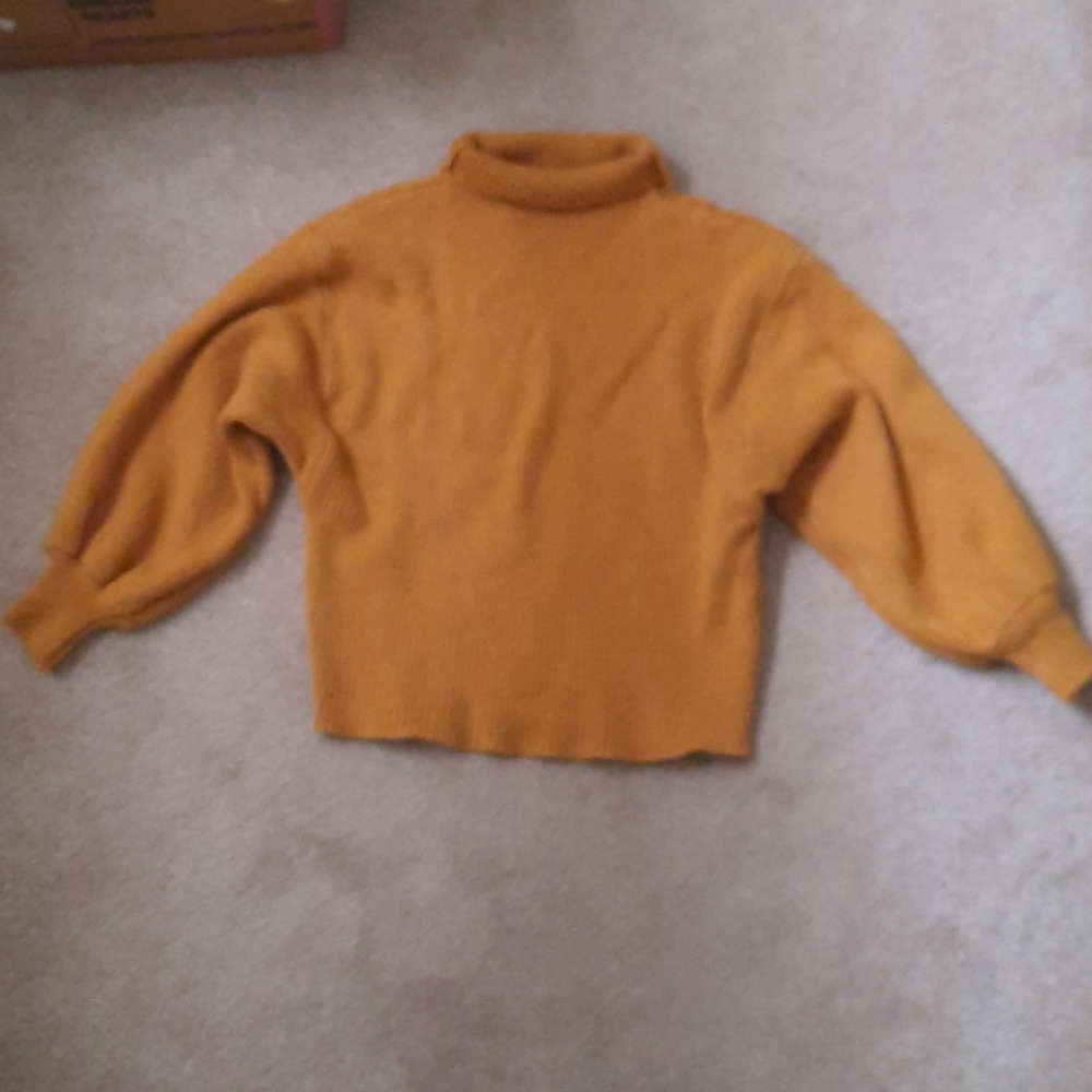Cropped turtleneck